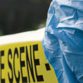 The Essential Role of Forensic Odontology in Mass Disasters